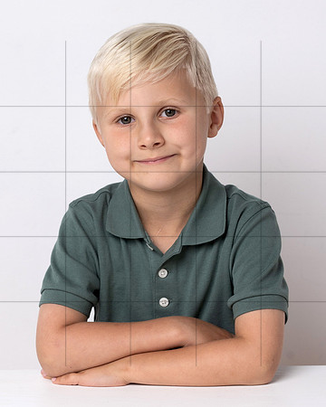 Springer 098